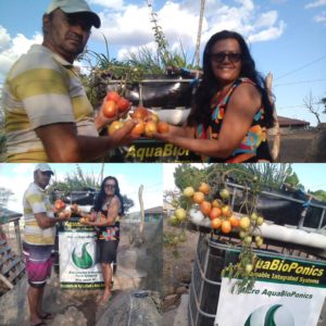 AquaBioPonics - Quality Food in the Arid Land