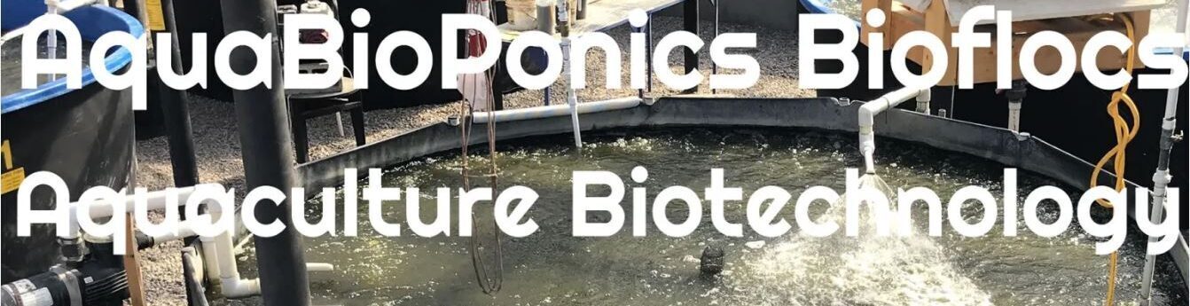 AquaBioPonics Bioflocs – The Revolution