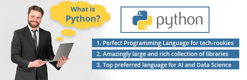 Why Learn Python?